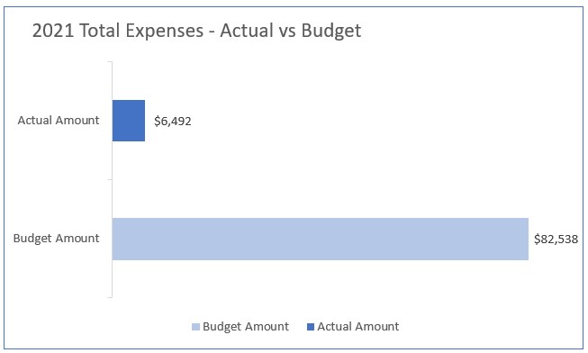 total expenses graph